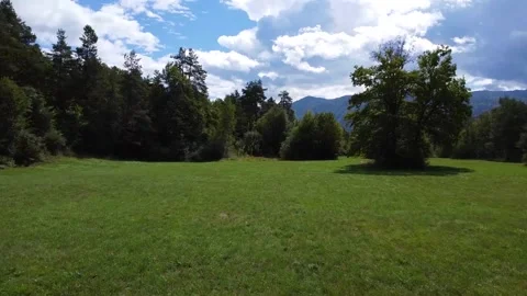 Green Field In The Spring Stock Footage 244860514