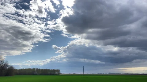 Green field of spring wheat and clouds floating in the blue sky Stock Footage 194409853