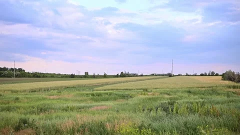 Green field stretching under wide sky in rural landscape. Stock Footage 328637113