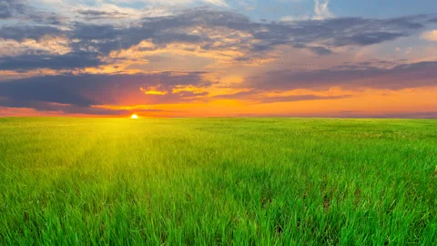 Green field by a sunset time lapse scene Stock Footage 252131422