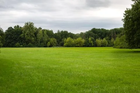 Green field surrounded by trees on a cloudy day. cloudy sky Stock Photos