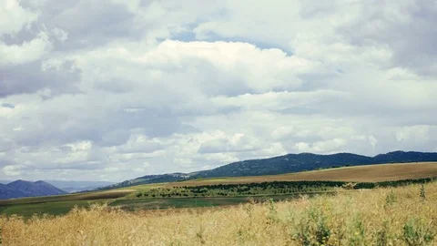 Green Field, Time Lapse Stock Footage 71938676