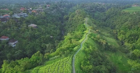 Green field on a top of mountain Video stock 124622978