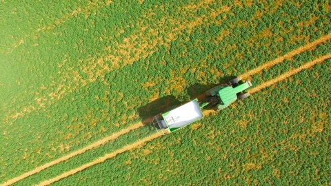 Green field with tractor. Vídeo Stock 74197791