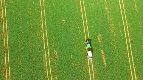 Green field with tractor. 스톡 동영상 74197982