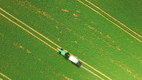 Green field with tractor. Vídeo Stock 74198706