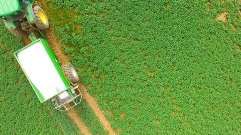 Green field with tractor. Video stock 74201223