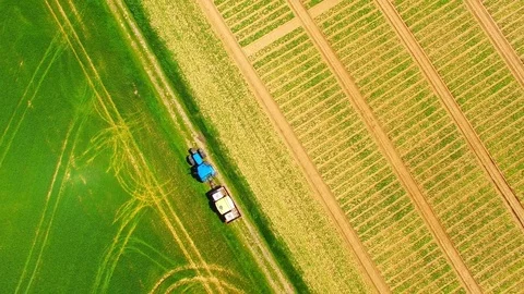 Green field with tractor. Stock Footage 75771072