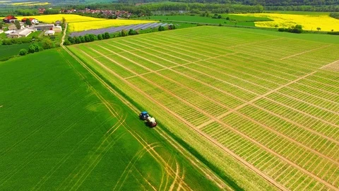 Green field with tractor. Video stock 75771095