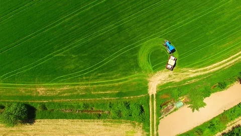 Green field with tractor. Vídeo Stock 75771542