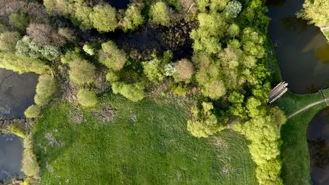 Green field with trees and a path Stock Photos
