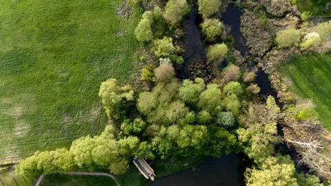 Green field with trees and a path Stock Photos