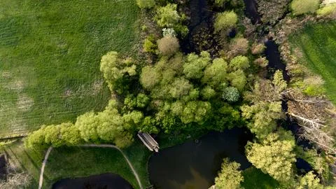 Green field with trees and a path Stock Photos
