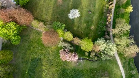Green field with trees and a path Stock Photos