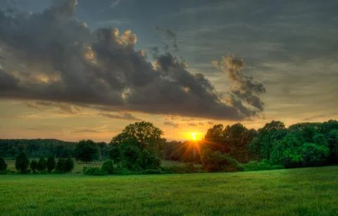 Green field trees and rays of the sun Stock Photos