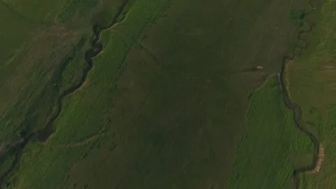 Green field with trees during summer Stock Footage 235125059