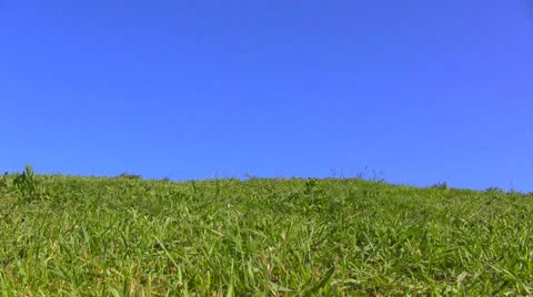 A green field under a beautiful blue sky 库存影片 24579038