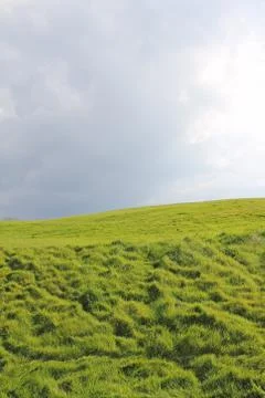 Green field under cloudy sky Stock Photos