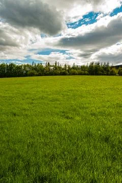 Green field under dramatic cloudy sky Stock Photos