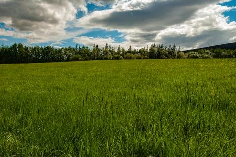 Green field under dramatic cloudy sky Stock Photos