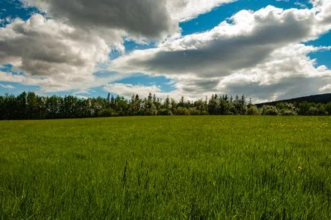 Green field under dramatic cloudy sky Stock Photos