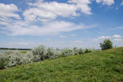 Green field under the sky with clouds Stock Photos