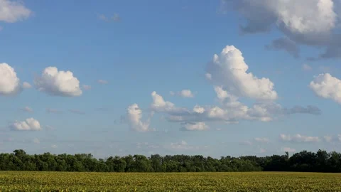 A green field under a soft sky with scattered clouds and a dense line of trees Vídeo Stock 322684566