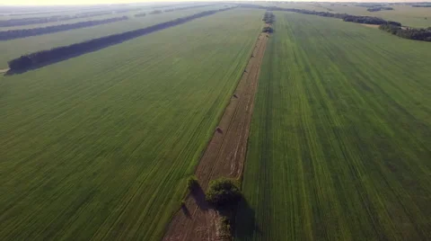 Green field view from above Stock Footage 58030674