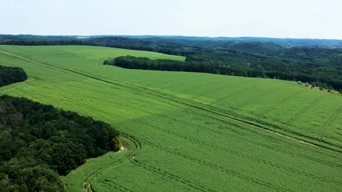 Green field. View from the height of the... | Stock Video | Pond5