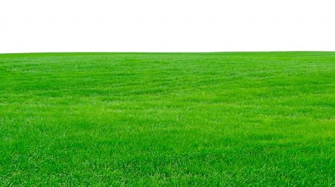 Green field on white background. Stock Footage 63277014