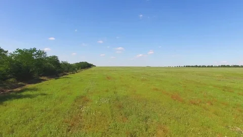 Green field of wild flowers and grass , aerial video, drone point of view Stock Footage 78115553