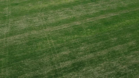 Green Fields from Above Video stock 283271051