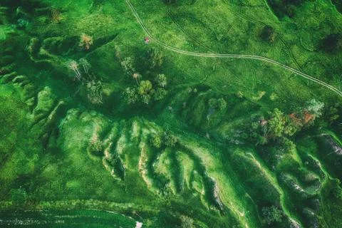 Green fields from above Foto stock