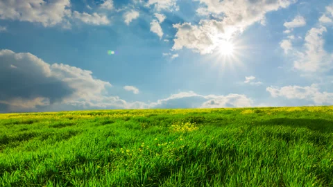 Green fields acene 库存影片 338054069