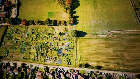 Green fields aerial view before harvest at summer Video stock 135883455