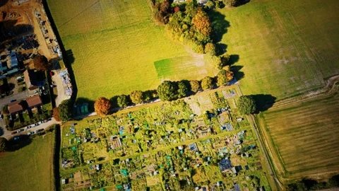 Green fields aerial view before harvest at summer Vidéo 138917886