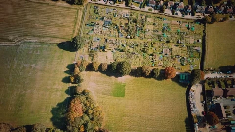 Green fields aerial view before harvest at summer 스톡 동영상 139394981