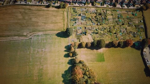 Green fields aerial view before harvest at summer Vidéo 140432528