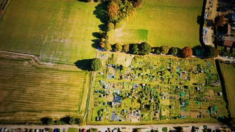 Green fields aerial view before harvest at summer Stock Footage 140645678