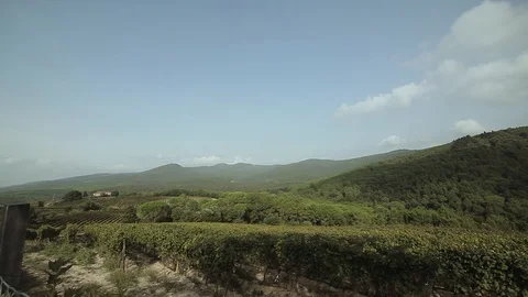 Green fields against the blue sky Stock Footage 97930572