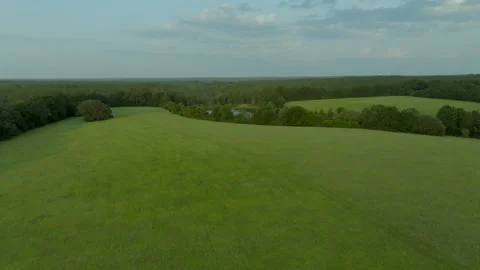 Green Fields of Alabama Video stock 260861375