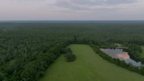 Green Fields of Alabama Video stock 260861420