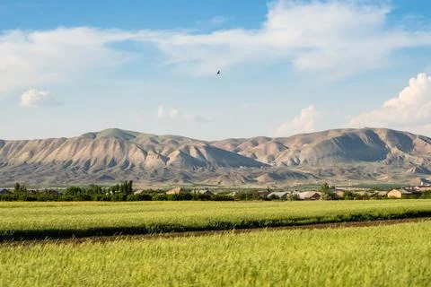 Green fields along E117 highway in Ararat province Stock Photos