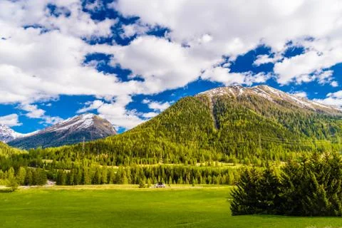Green fields and Alps mountains coevered with forest, Samedan, M Stock-Fotos