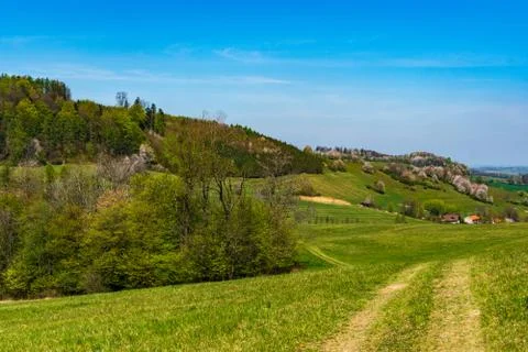 Green fields and beautiful hills colored green and white in early spring Stock Photos