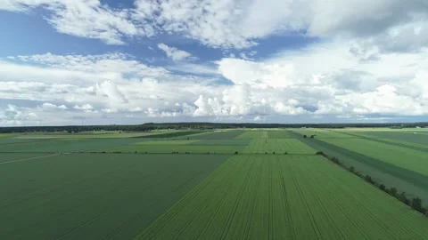 Green fields and blue sky with clouds aerial Stock Footage 165509961