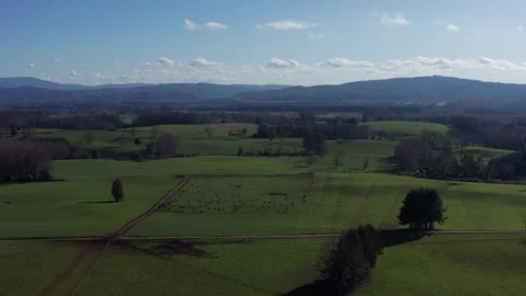 Green Fields and Cattle from the Air Stock Footage 309245528