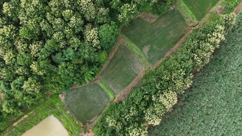 Green Fields and Distant Mountains with Storm Clouds Stock Footage 315878772
