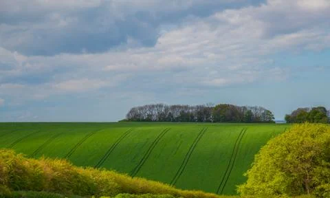 Green fields up and down Stock Photos