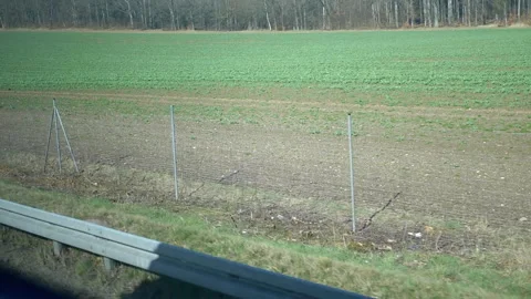 Green fields and forest from car window Stock Footage 312007306